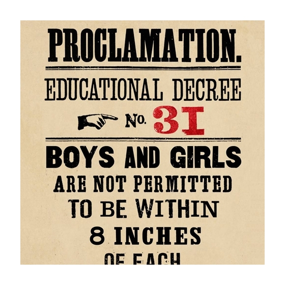 Poster - Proclamation 31 - Harry Potter