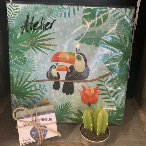 Packung mit 20 3-lagigen Papierservietten mit der Aufschrift mit Toukan-Muster.