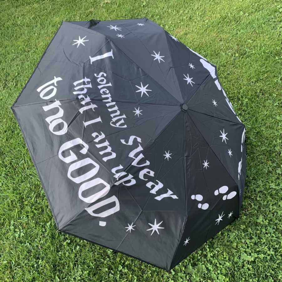 "I solemnly swear that I am up to no good" - Harry Potter Reaktiver Regenschirm