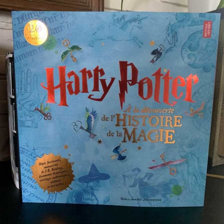 Harry Potter : à la découverte de l'histoire de la magie
