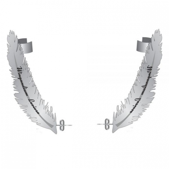 Wingardium Leviosa-Ohrringe - Harry Potter