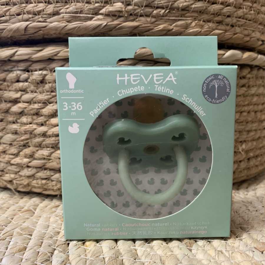 3-36M Kieferorthopädischer Gummischnuller moosgrün - Hevea