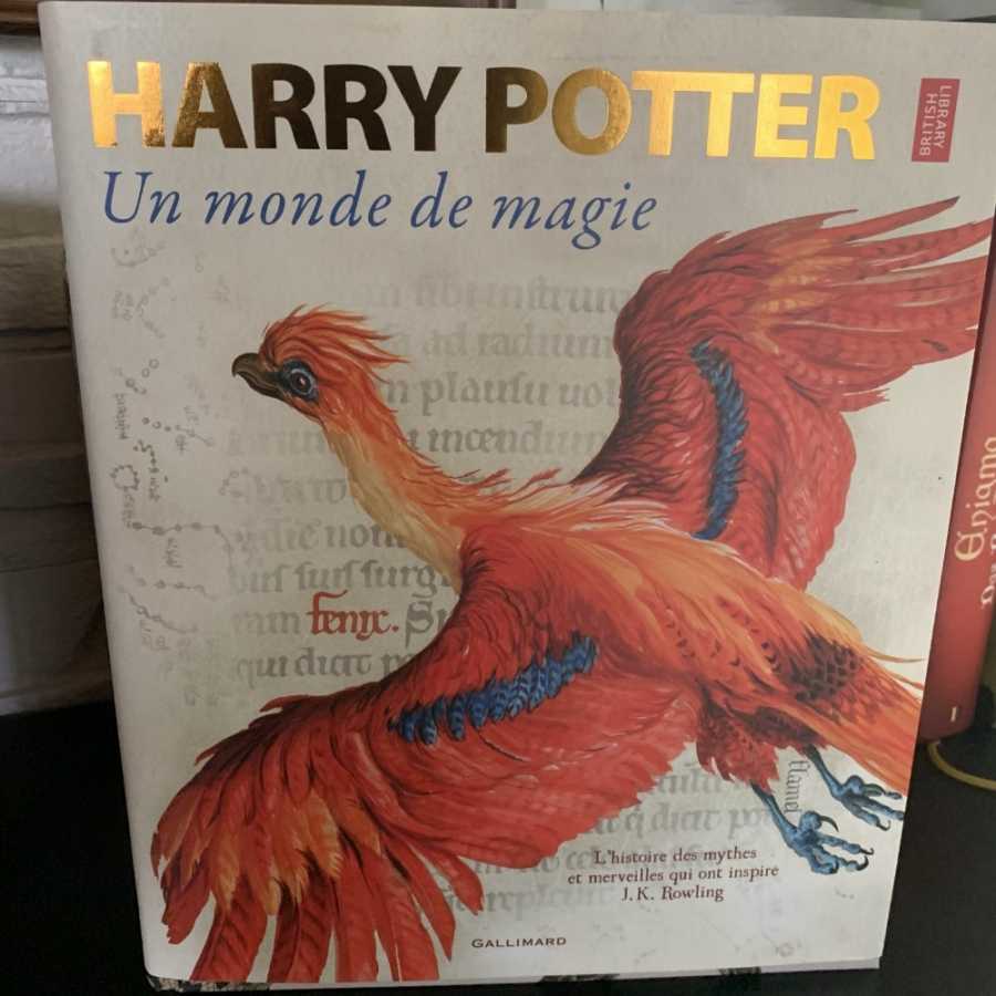Harry Potter, un monde de magie