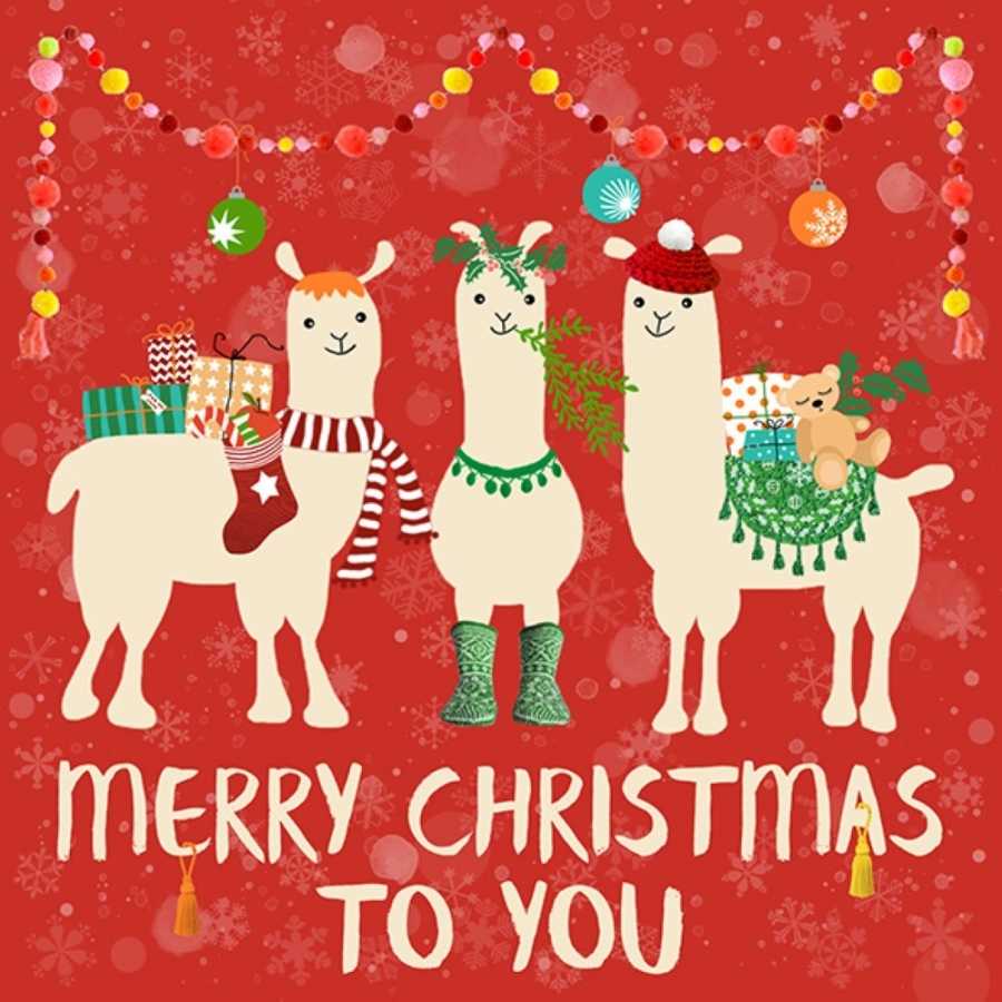 X-mas Papierservietten Lamas, weihnachtliche Tischdekoration, Geschäft, Freiburg, Schweiz