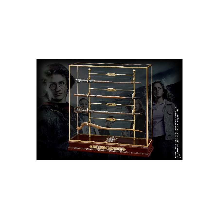 Die Champions des Turniers der 3 Zauberer - Display und Zauberstäbe - Harry Potter
