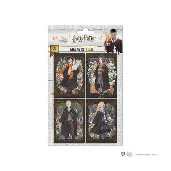 Set de 4 magnets - Personnages portraits - Harry Potter