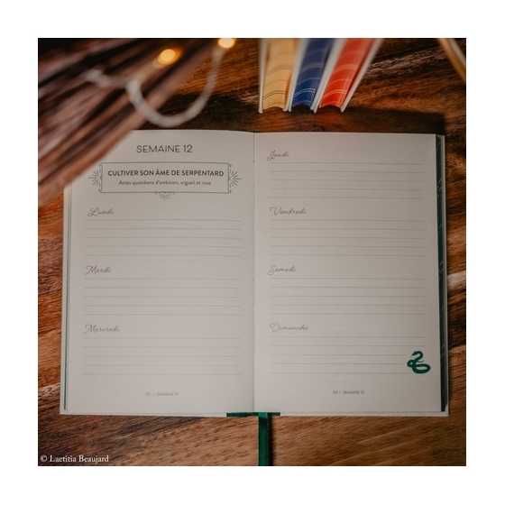 Ambition (Serpentard) - journal intime pour cultiver son âme de Serpentard - Harry Potter