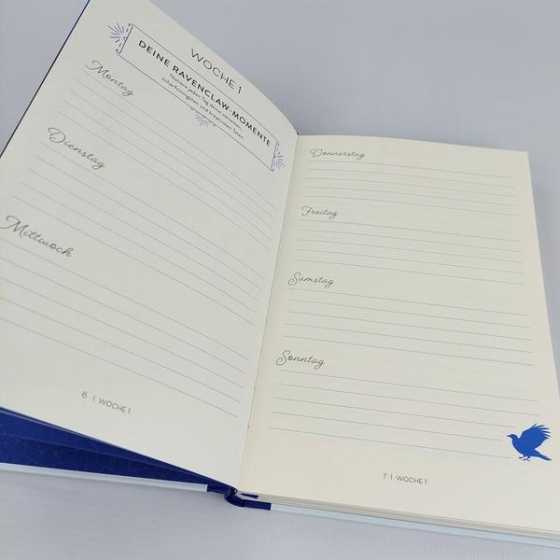 Klug wie ein Ravenclaw - Harry Potter