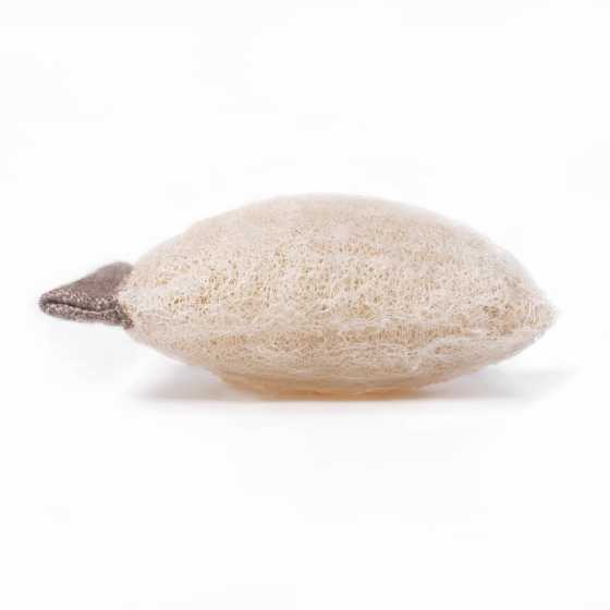 Loofah 2 en 1, éponge et support pour nettoyants solides