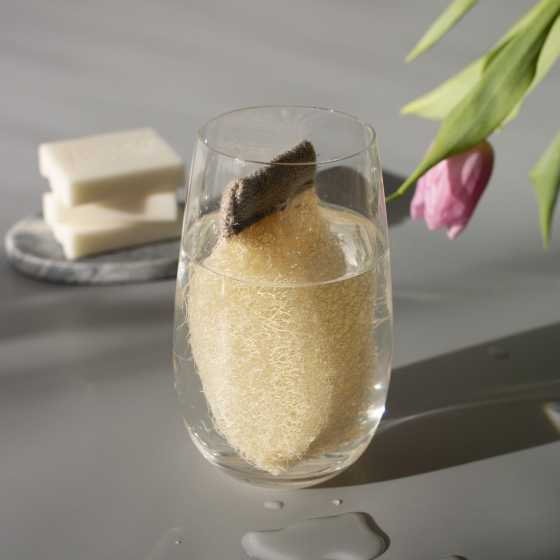 Loofah 2 en 1, éponge et support pour nettoyants solides
