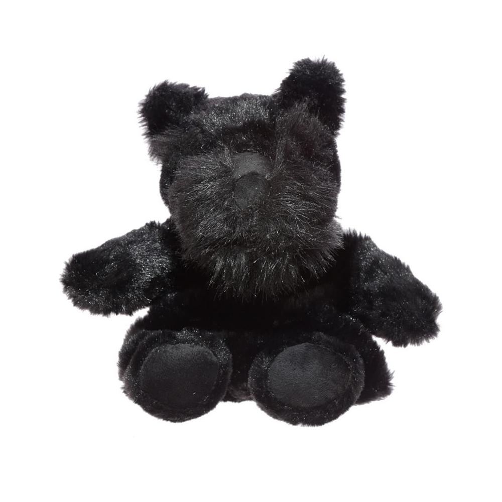 Race chien scottish terrier : fier, audacieux et indépendant
