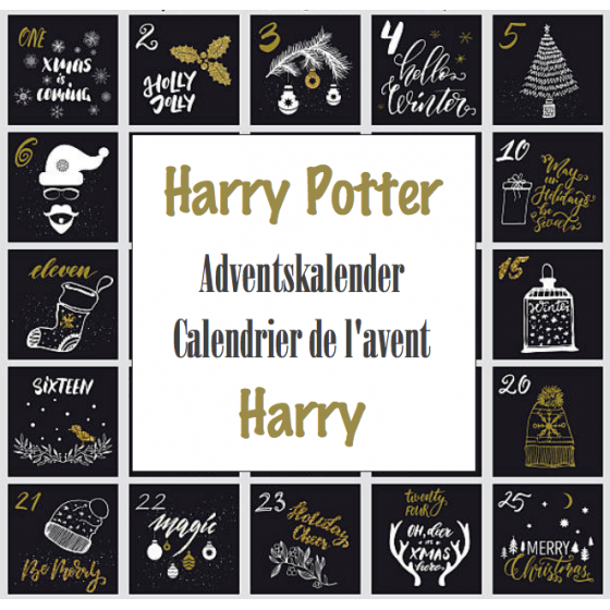 Maxi Calendrier de l’avent Harry Potter - Harry