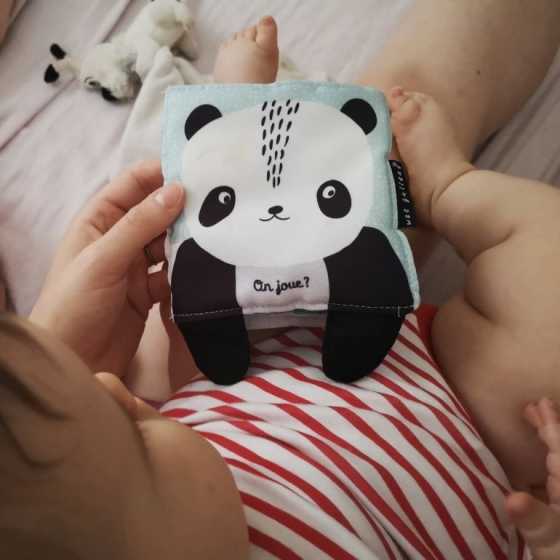 Mein Kuschelbilderbuch - Kleiner Panda und seine Freunde