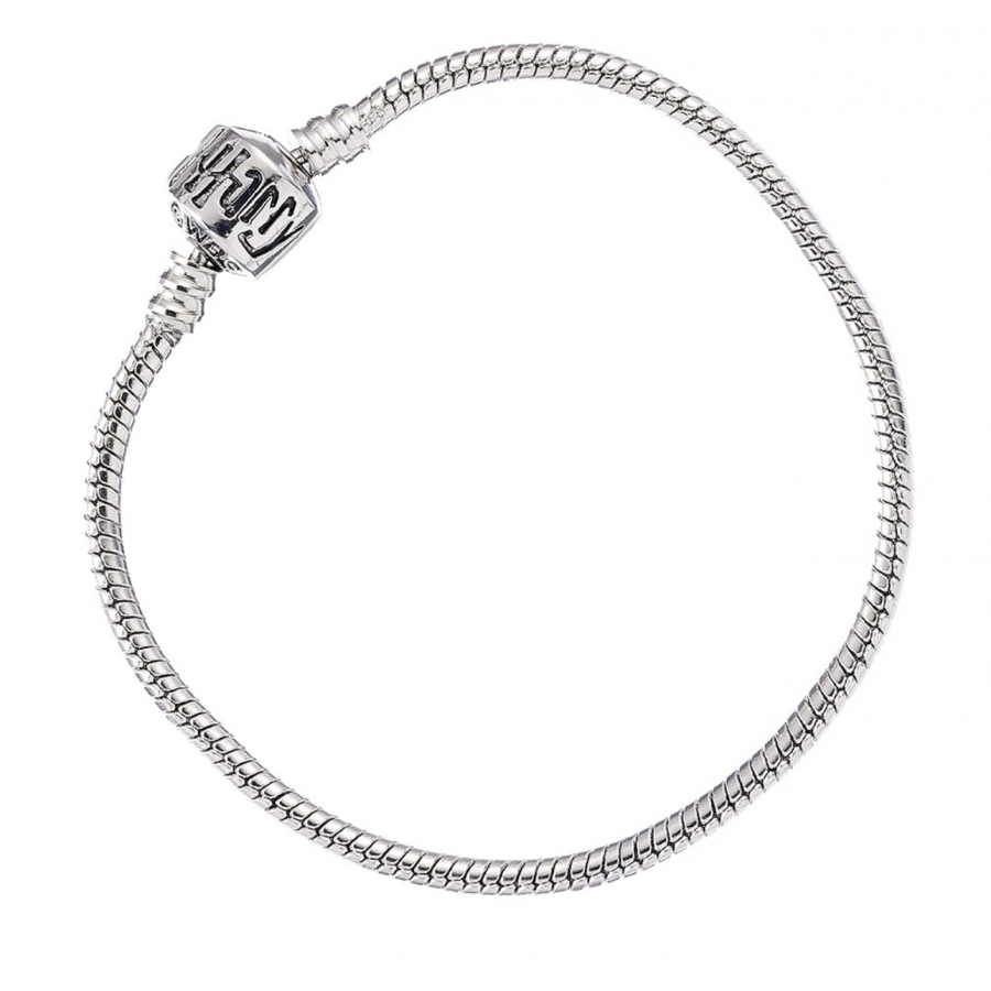 Bracelet Harry Potter en argent pour breloques charms