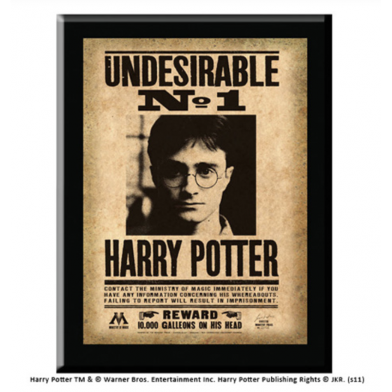 Plaque Undesirable N°1 Harry Potter