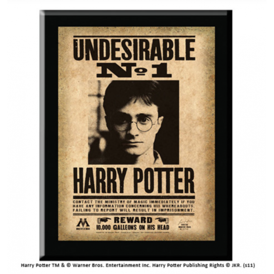 Undesirable Nr. 1  Platte - Harry Potter