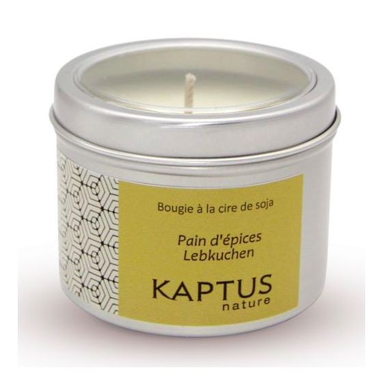 Pain d'épices - Bougie à la cire de soja - Collection Voyage - Kaptus Nature