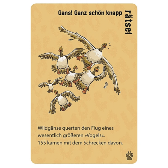 Black stories junior - Animal Stories