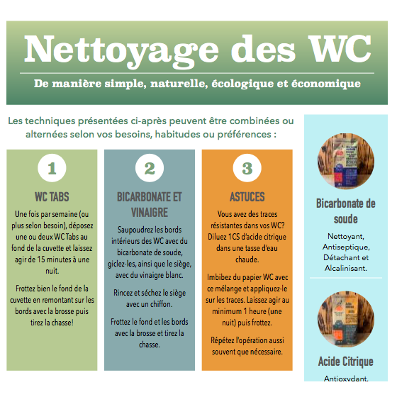 Merkblatt "Toilettenreinigung".