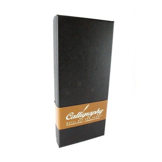 Set de calligraphie avec Stylo plume blanche, 5 embouts supplémentaire et encrier. Quill dip pen ink set