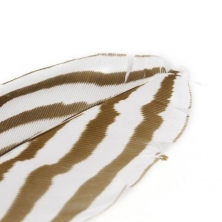 Quillpen, stylo à bille faisan argenté, marron / blanc