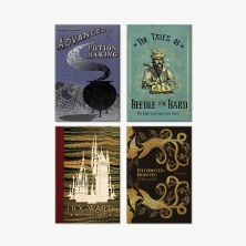 Set aus 4 Magneten - Buchumschläge - Harry Potter - Wizarding Books