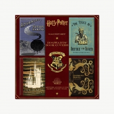 Set de 4 magnets - Couvertures de livres - Harry Potter - Wizarding - Minalima - Books