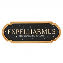 Plaquette Expelliarmus - The disarming charm - Harry Potter