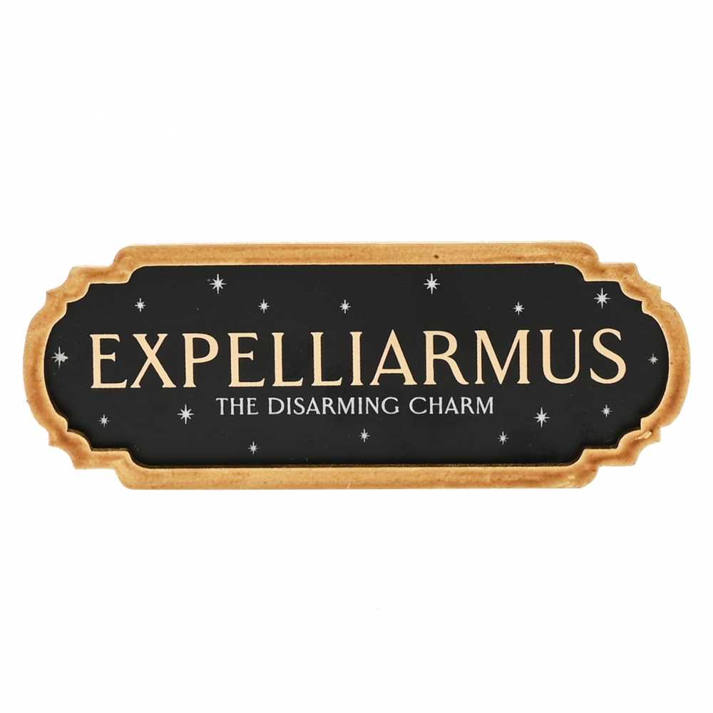 Plaquette Expelliarmus - The disarming charm - Harry Potter