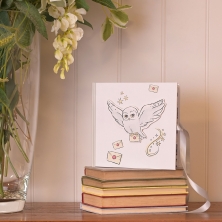 Album photo Hedwig - Harry Potter