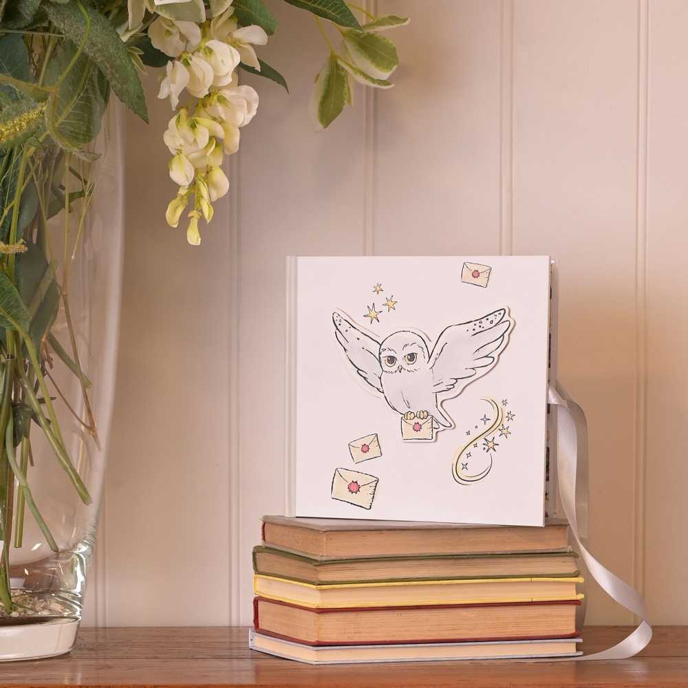 Album photo Hedwig - Harry Potter