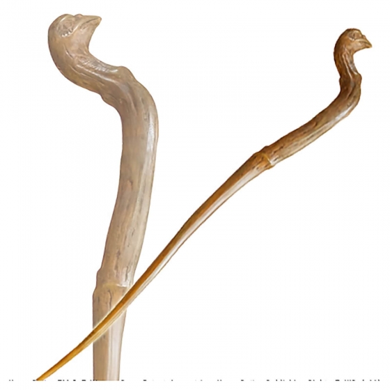 baguette de viktor krum