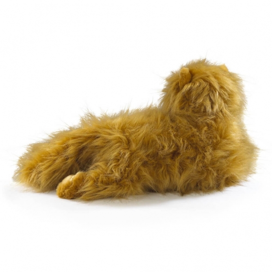 Peluche - Pattenrond - Harry Potter - Crookshanks