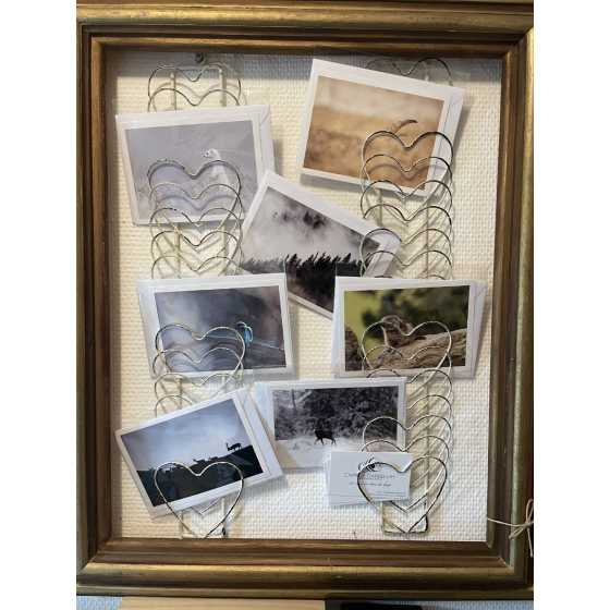 Carte de voeux - Photographie Bouquetin