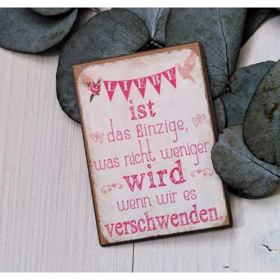 Magnet "LIEBE ist das Einzige, was nicht weniger wird wenn wir es verschwenden."