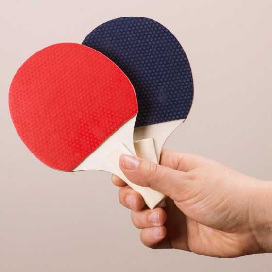 Jeu de table "Ping-pong "