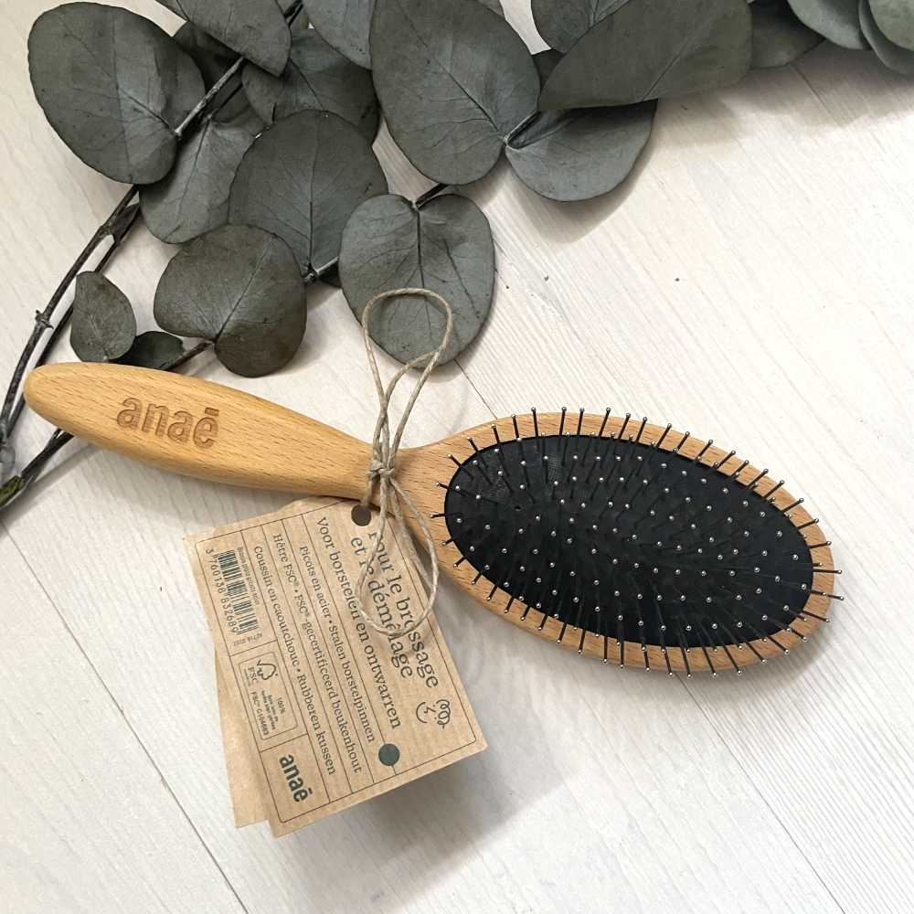 Brosse plate à picots d’acier FSC - Anaé