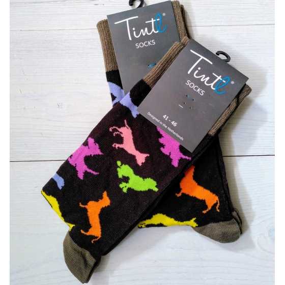 Chaussettes chiens - Tintl socks
