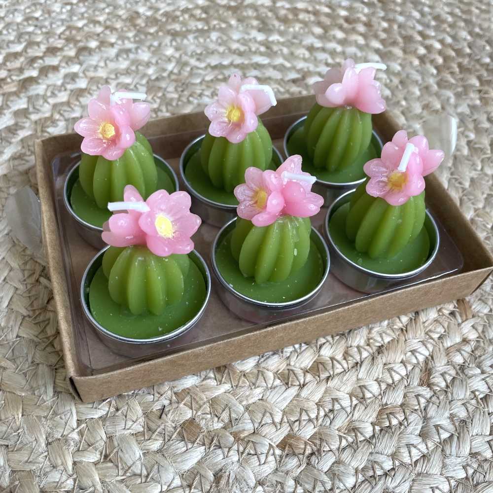 Bougies cactus rose