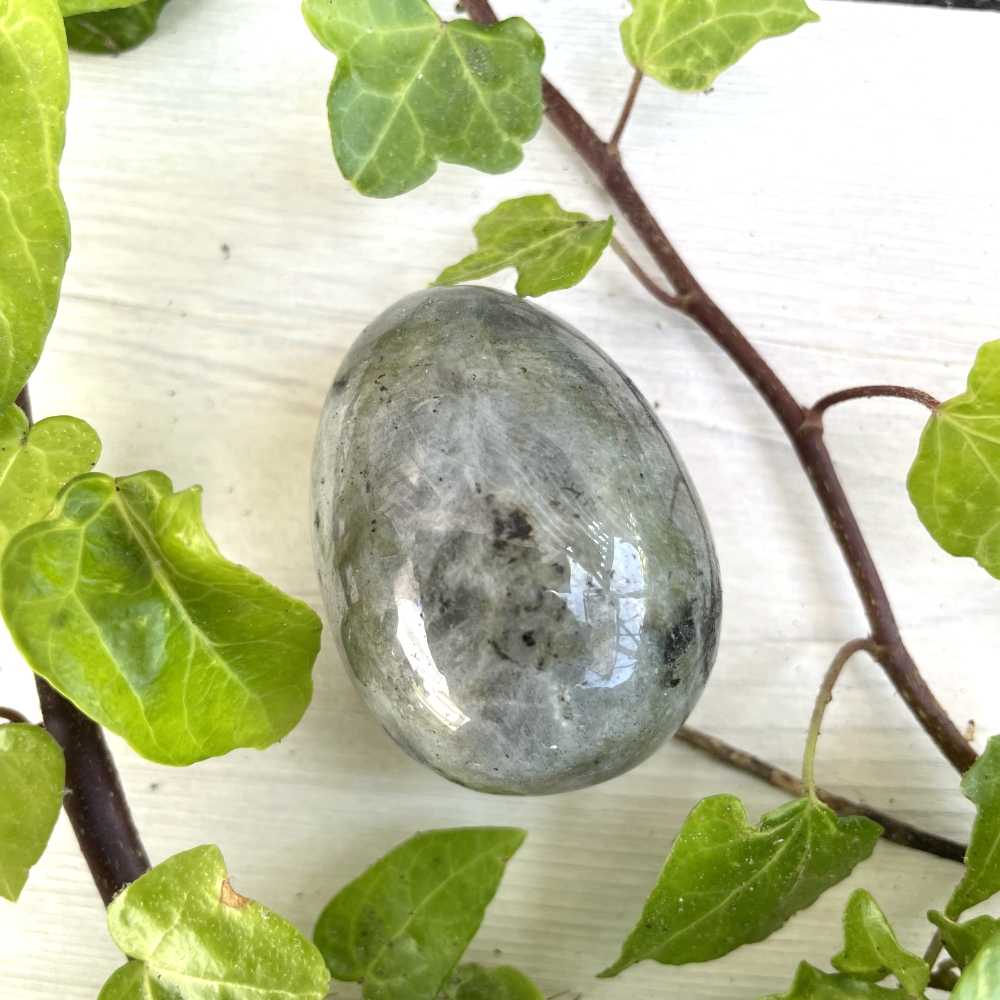 Oeuf en Labradorite