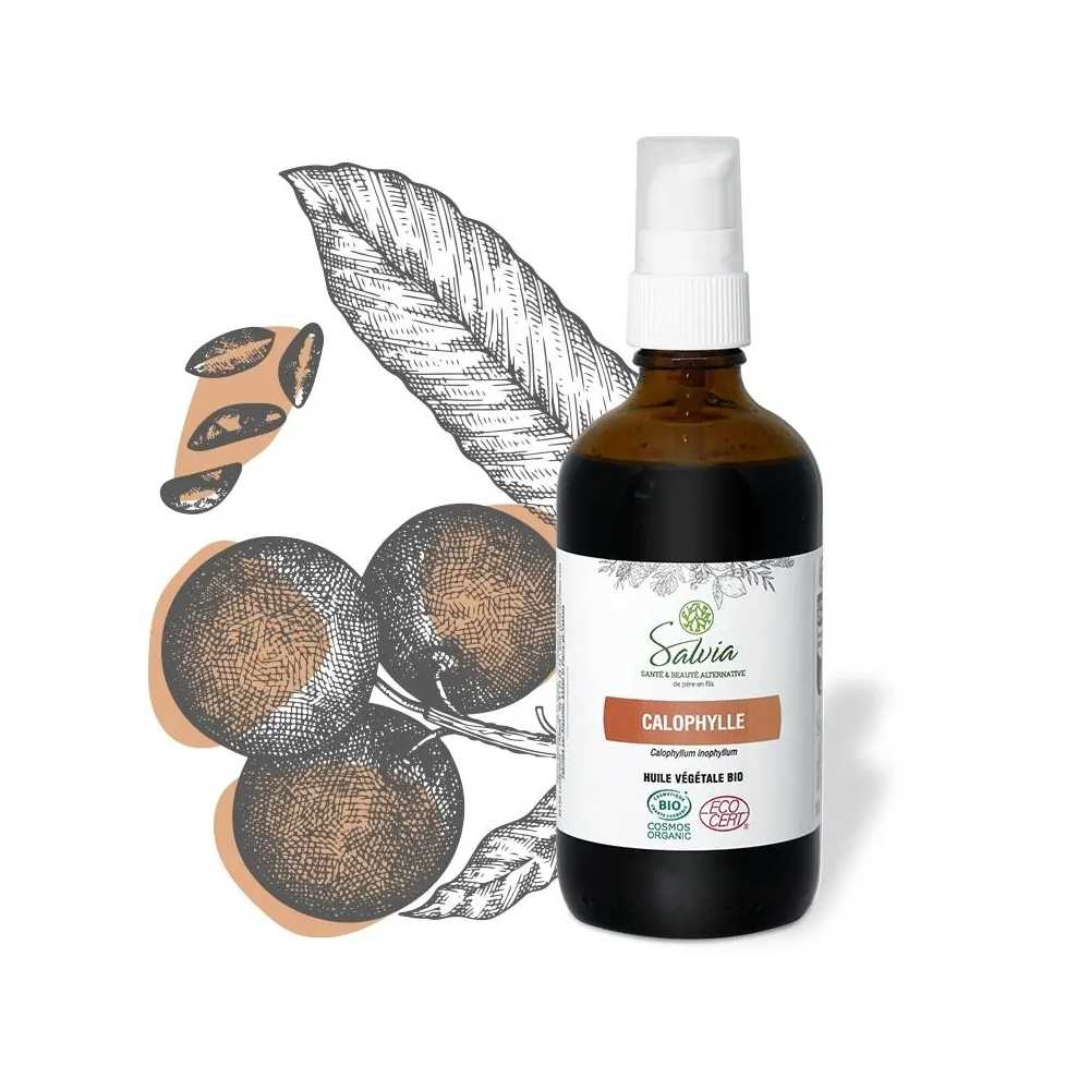 Calophylle - Huile végétale bio - 100 ml
