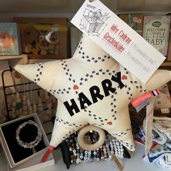 Harry Potter- Coussin Musical Etoile Martin - Mellipou, personnalisable, cadeau de naissance