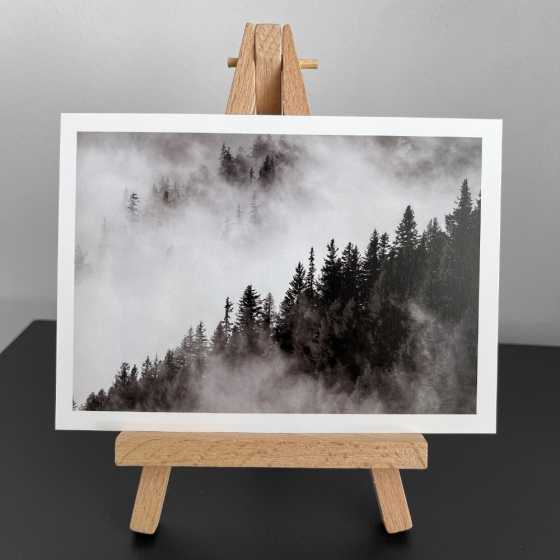 Carte de voeux - Photographie Brume matinale