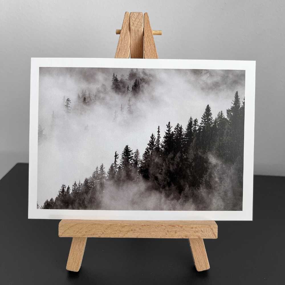 Carte de voeux - Photographie Brume matinale