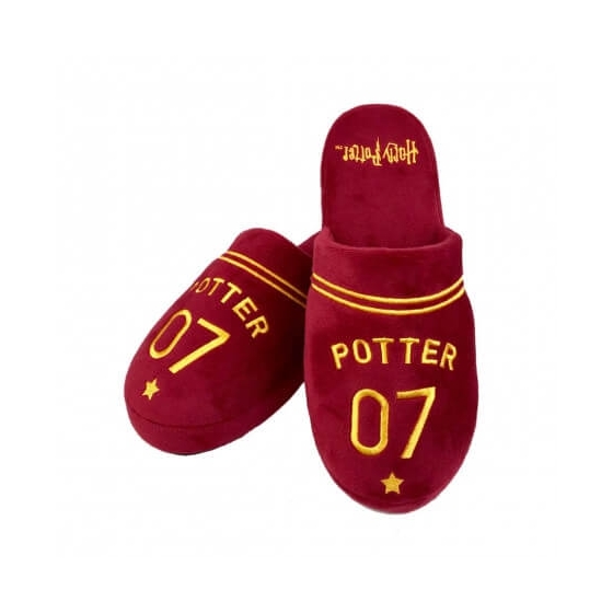 CHAUSSONS HARRY POTTER QUIDDITCH