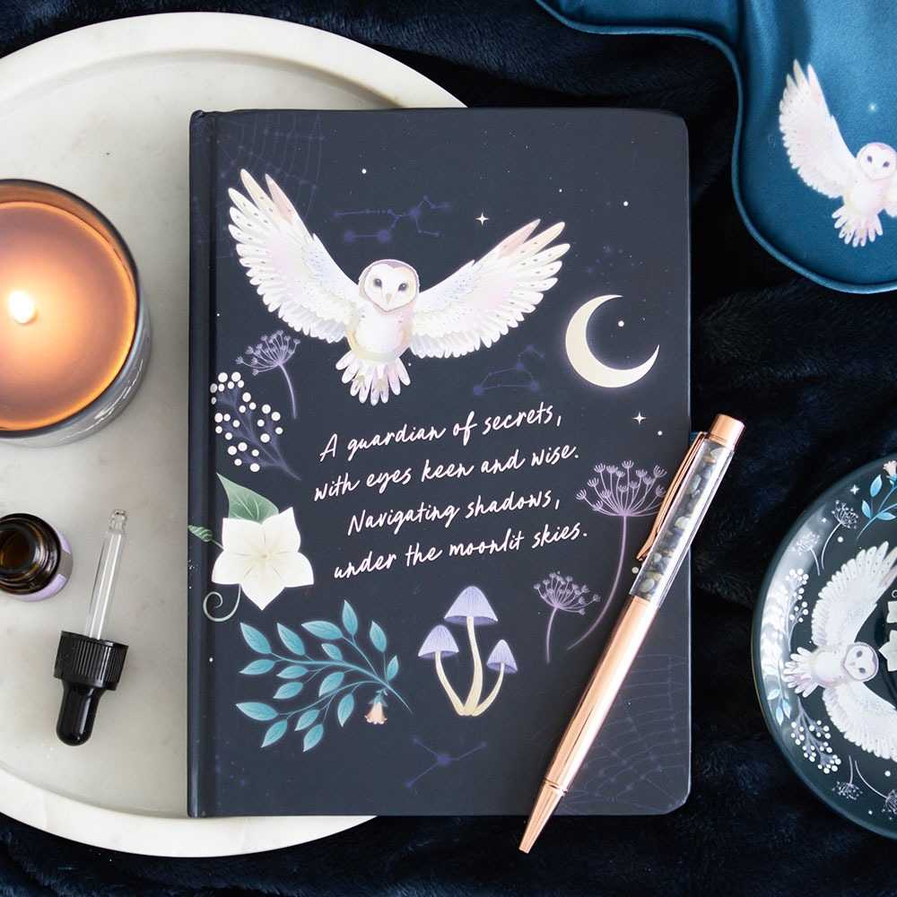 Journal Night Owl avec stylo en sodalite