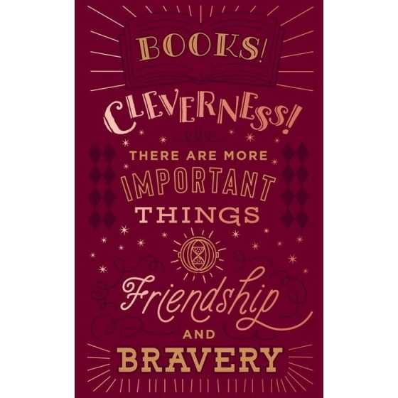 Collection de carnets de notes des personnages: Ron et Hermione - Harry Potter