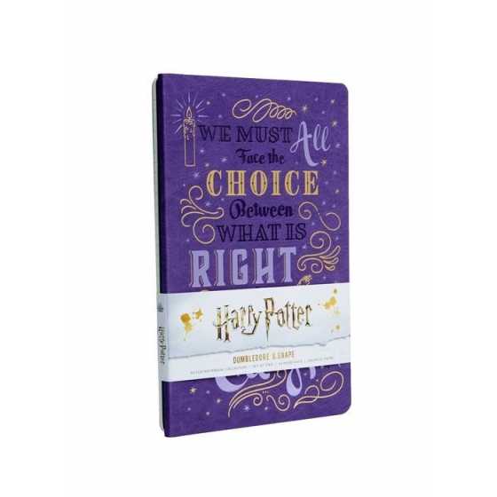 Notizbuch-Set der Charaktere: Albus Dumbledore und Severus Snape - Harry Potter