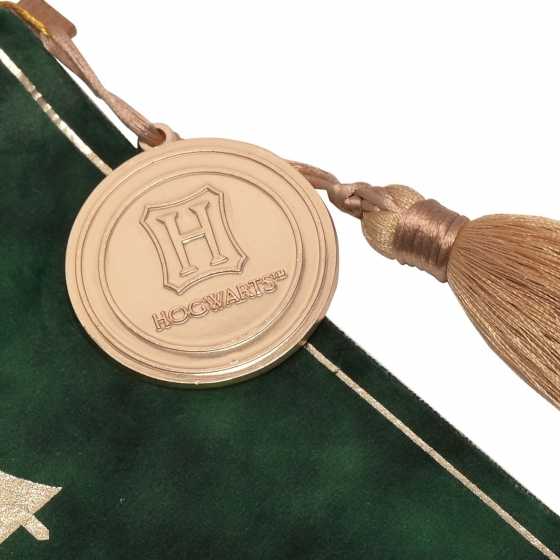 Hängebanner Slytherin für Warner Bros Harry Potter-Alumni