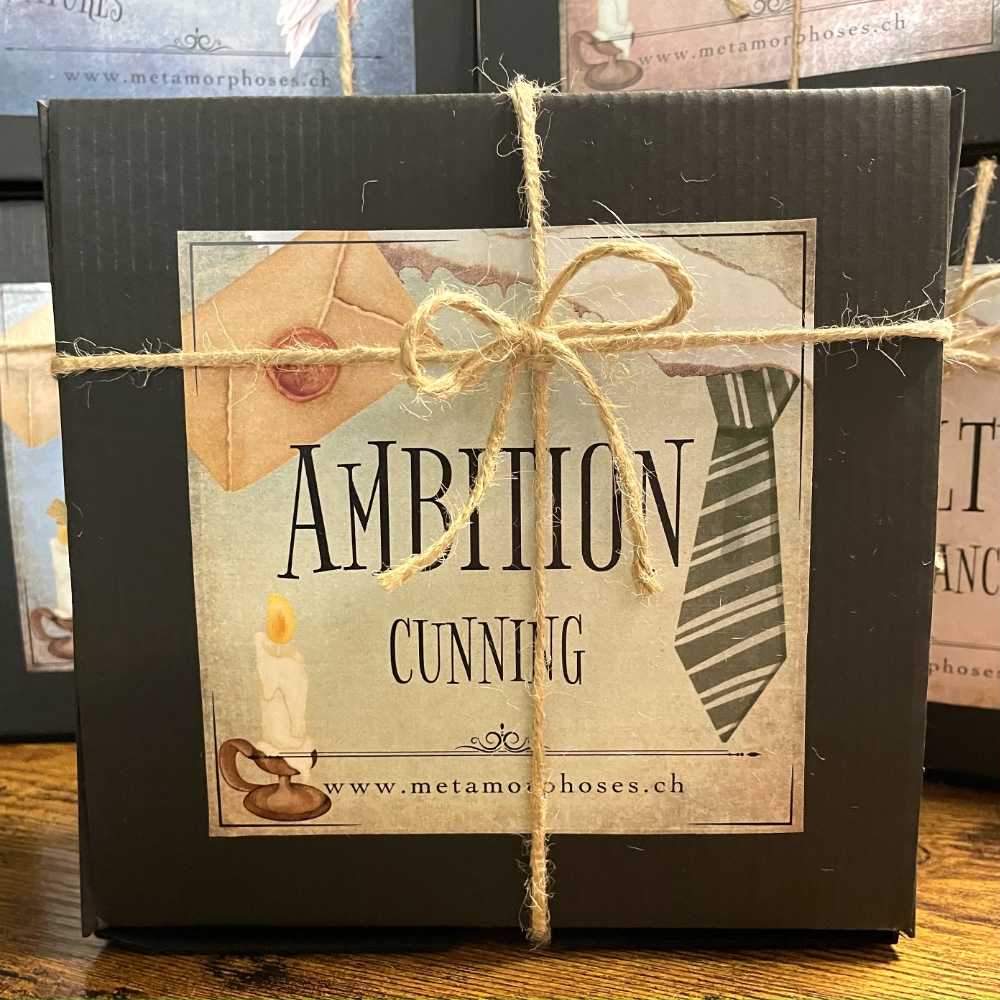 Box Ehrgeiz und List - Harry Potter